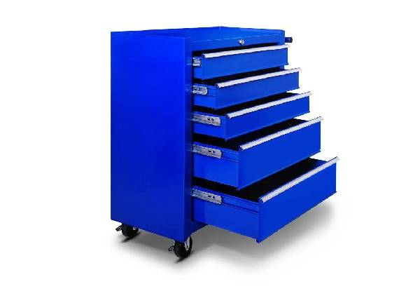 DS Tool Roll Cabinet & Chest - Two Colours Available