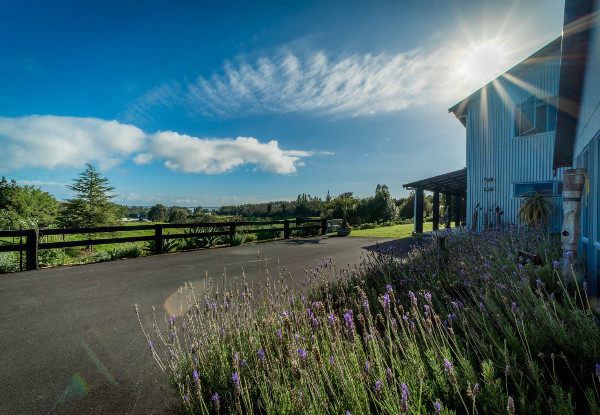 One-Night or Two-Night Stay in the Bay of Plenty Countryside - Option for Weekday or Weekend in a Queen or Super King Room