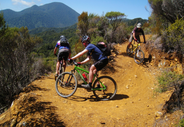 Per-Person 16 Day Epic NZ Dreamer MTB Tour – North & South Island incl. Accomodation, Guides, Activities & More