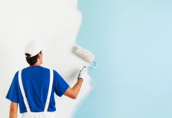 Eight-Hour House Painting Service - Options for 16 or 24 Hours