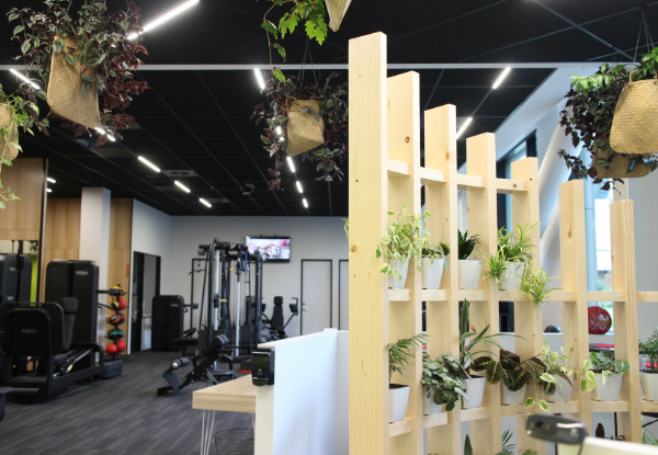 Six-Week Membership to Koha Fitness