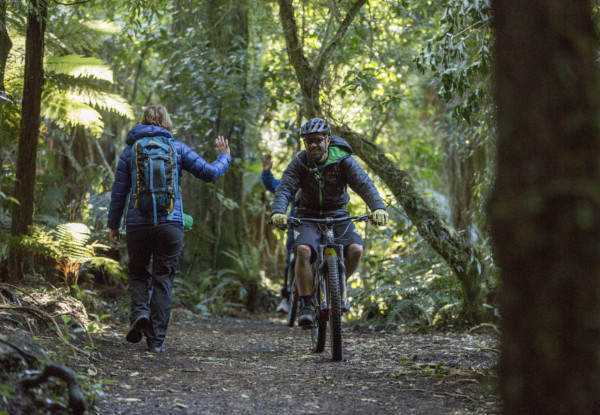 Two-Night Ohakune Old Coach Road Mountain Bike Adventure incl. One Person Dorm in Shared Quad Room, Transport, Bike Hire, Breakfast, Access to the Sauna & Hot Tub - Option for Four People in a Quad Room