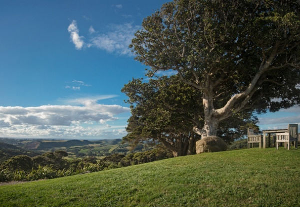 Waiheke Island Experience & Wine Tours Half Day for One Person - Options for Premium Full Day