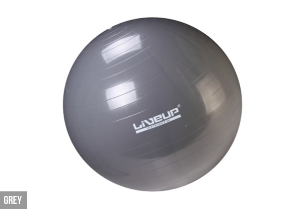 Anti-Burst Swiss Ball & Hand Pump - Range of Sizes Available