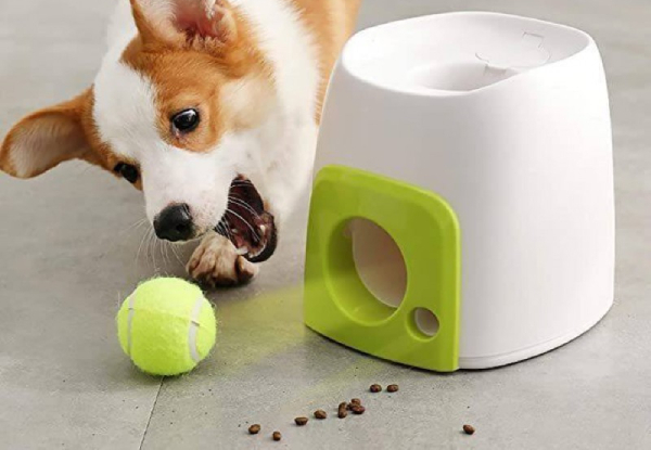 Pet Tennis Fetch & Treat Toy