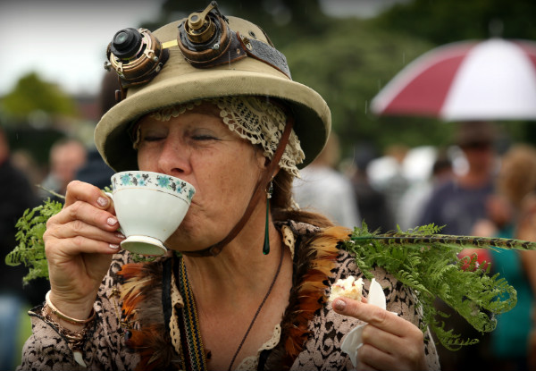 One Adult Entry to the Hokitika Wildfoods Festival incl. Entry to the Afterparty on the 10th of March 2018