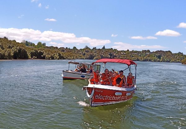 Two-Hour Electric Catamaran Boat Hire on Kerikeri River - Options for Larger Electric Boat Hire for up to 13 People