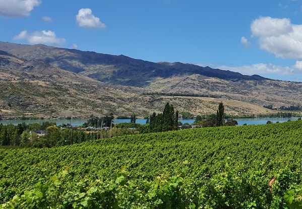 Full-Day Central Otago & Valley of the Vines Wine Tour for One Person