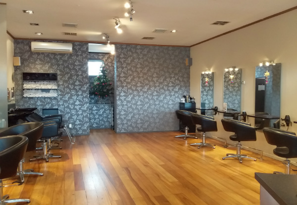 Boutique Hair Package incl. Style Cut - Choice of Bayalage, Highlights, or Global or Creative Colour