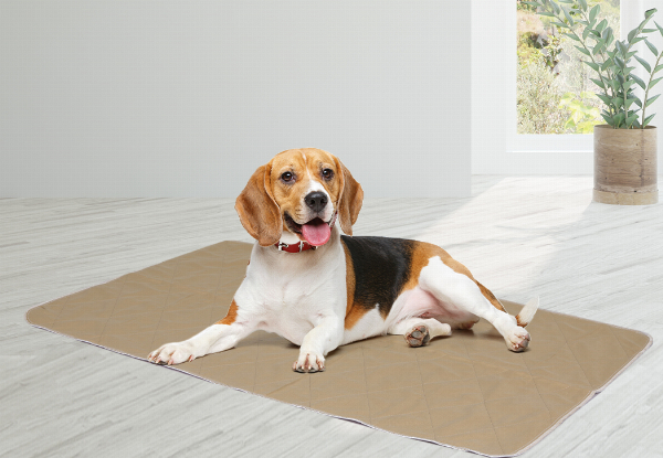 PaWz Two-Piece Reusable Pet Toilet Training Pads - Available in Four Sizes & Option for Four-Pack