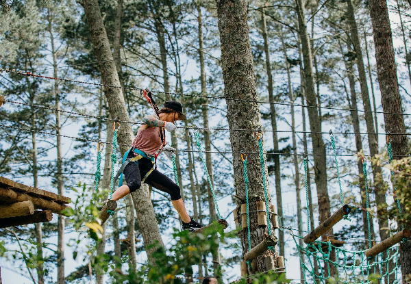 One Adult or Child Admission to Adrenalin Forest Park Porirua, Wellington - Valid Thursday to Sunday