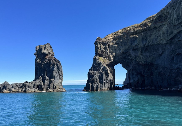 Two & Half-Hour Akaroa Scenic Coastal Cruise Adult Pass - Options for Child or Family Pass - Valid from 1st November 2024