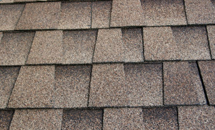 From $99 for Moss & Lichen Treatment for your House, Roof, Paths or Driveway (value up to $805)