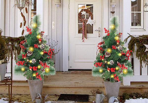 Outdoor Christmas Tree with LED Light