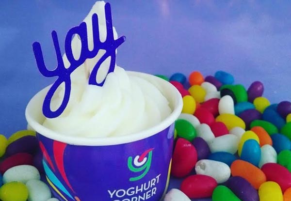 Large Cup of Frozen Yoghurt - Valid Seven Days a Week