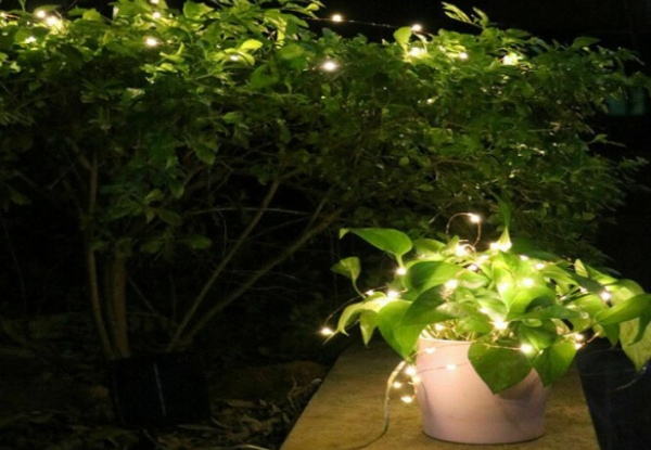 LED Solar String Fairy Light - Five Colours Available