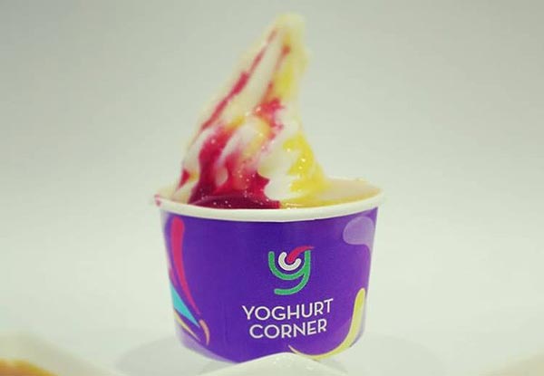 Large Cup of Frozen Yoghurt - Valid Seven Days a Week