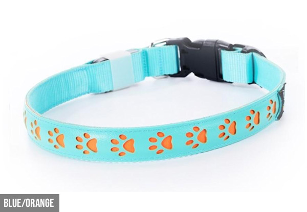 LED Paw Design Dog Collar - Three Colours & Two Sizes Available