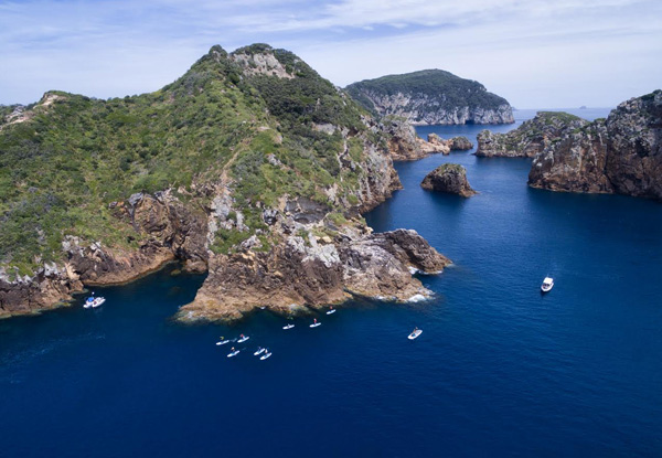 Full Day Luxury Boat Trip to the Poor Knights Islands for One incl. Lunch, SUP Hire & Guided Exploration - Options for Two, Four or Eight People Available