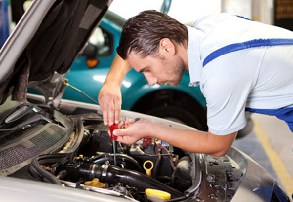 Full Transmission Service incl. Fluids