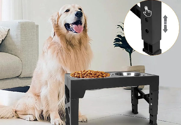 Dog Bowl Stand Table incl. Two Stainless Steel Bowls & Slow Food Bowl