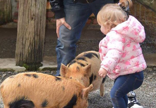 Adult Admission to Staglands Wildlife Reserve