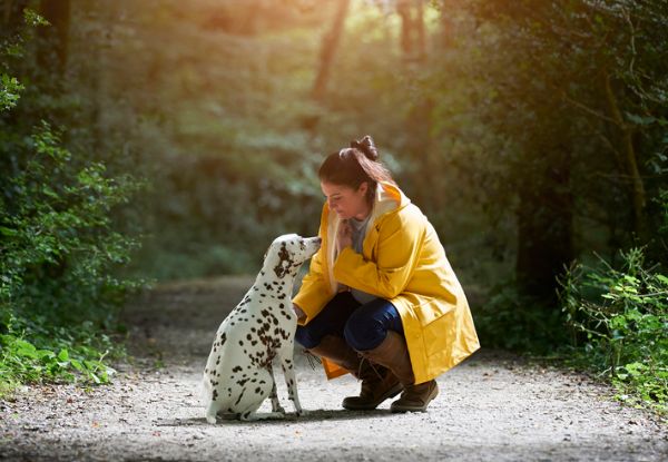 Dog Whispering & Pet Nutrition Diploma Online Course