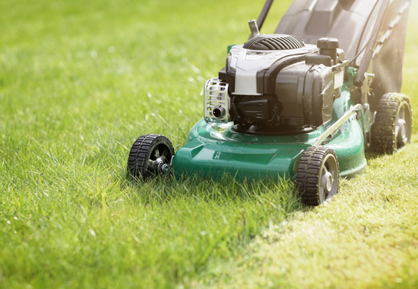 One Hour of Lawn & Gardening Maintenance - Options for up to Four Hours