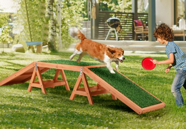 Petscene Dog Agility Ramp with Artificial Grass