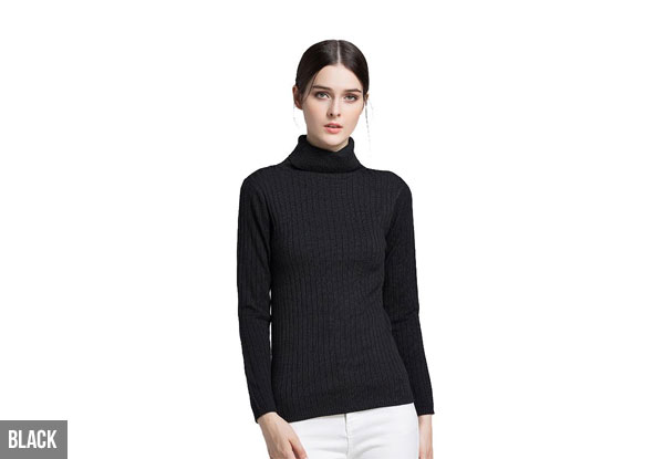 High Collar Knitted Sweater - Four Colours Available with Free Delivery