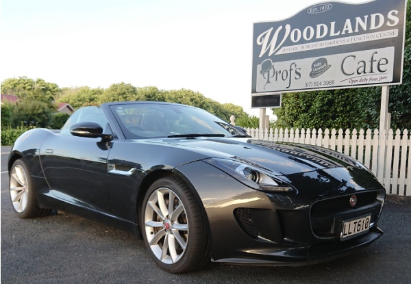 One-Hour Open Road Jaguar F-Type Roadster Driving & Woodlands Experience