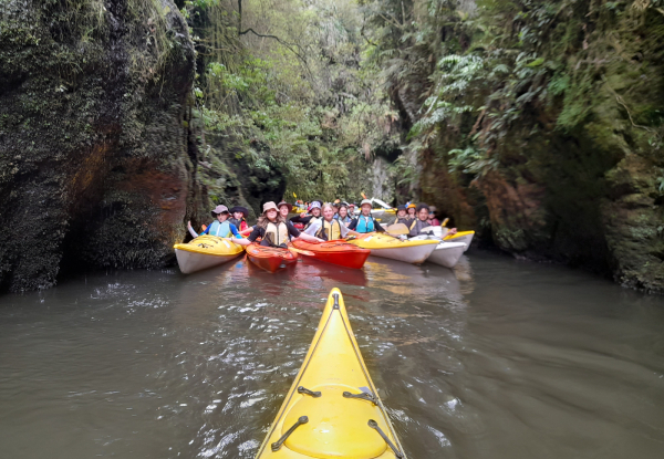 Guided Pokaiwhenua Kayak Adventure Tour for One Person - Options for up to 10 People