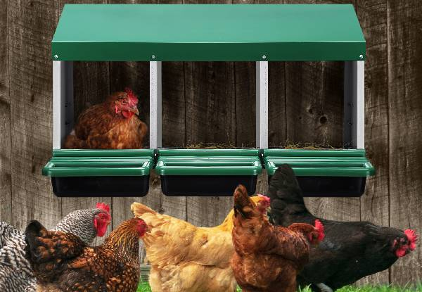 Three-Hole Chicken Nesting Box - Available in Two Colours & Option with Stand