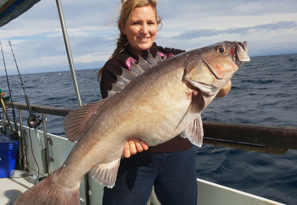 23-Hour Overnight Reef/Hapuka/Bluenose Deep Sea Fishing Excursion incl. Accommodation, Bait, Rod & Equipment Hire for One Person - Options for up to Six People