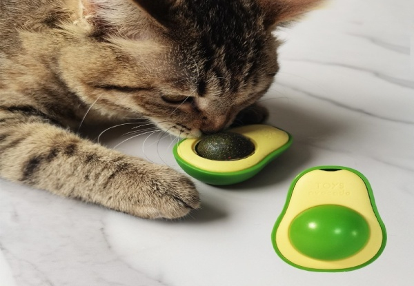 Avocado Wall Ball Cat Toys - Two Designs Available