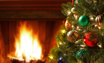 From $29 for a Christmas Tree - Pick-up or Auckland Delivery Options (value up to $75)
