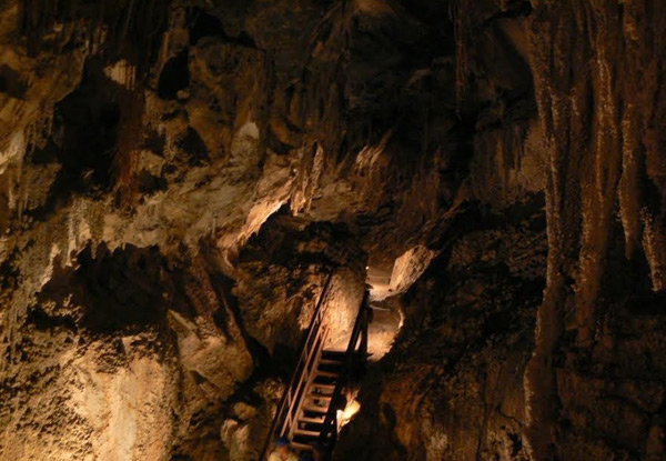 Family Guided Tour of Ngarua Caves featuring Skeletal Remains of Extinct Moa