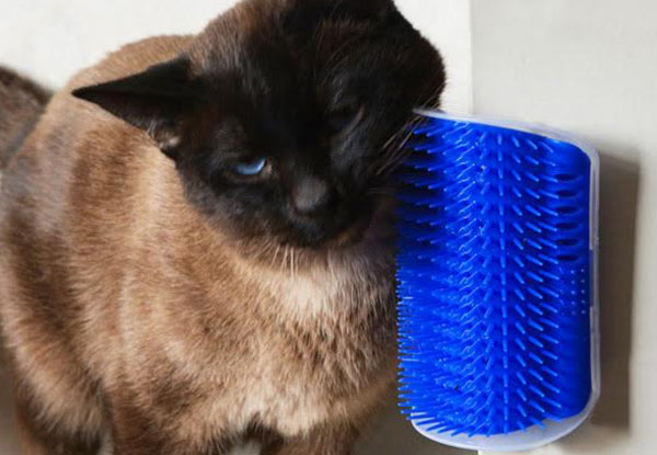 Catnip Self-Grooming Cat Brush - Option for Two with Free Delivery