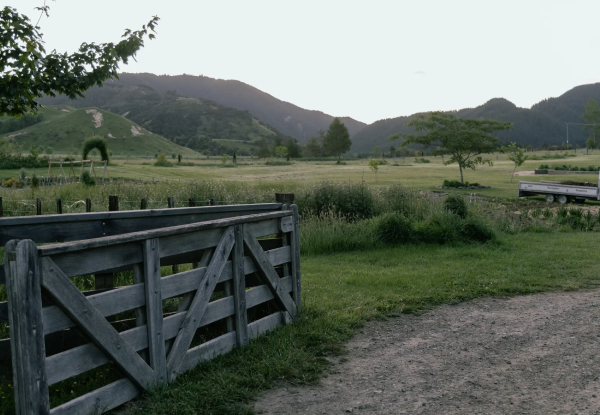 Hawke's Bay Boutique Mohaka River Farm Getaway & Horse Trekking Experience incl. Picnic & Continental Breakfast - Options for Two or Four People
