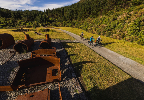 Four-Hour Mountain Bike Hire at Wildfinder Kaitoke