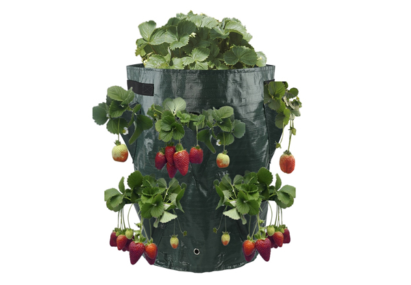 Two-Pack Three-Gallon Hanging Strawberry Planter Grow Bags - Three Colours Available