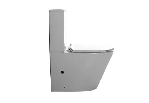 Modern Back to Wall Toilet