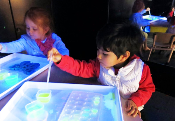 Unlimited Entry to the Science Playroom for One Child or Adult