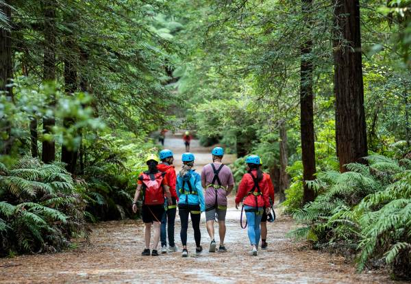 Guided Redwoods Altitude Experience for Adult or Child incl. Ziplining & 25-Metre High Guide