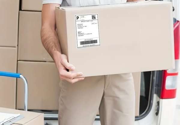 Two-Pack Thermal Shipping Labels