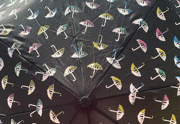 Colour Changing Umbrella • GrabOne NZ