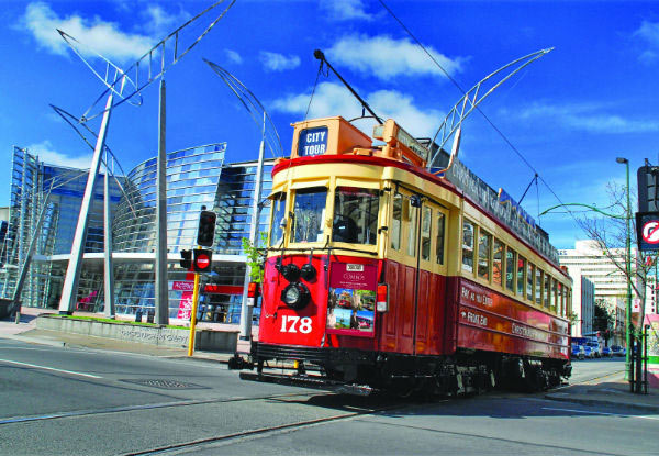 Adult Scenic Gondola & Tram Annual Pass