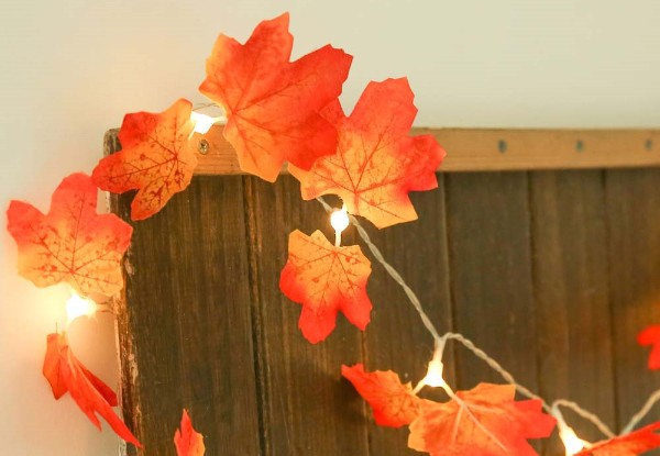 Maple Leaves String Lights with Free Delivery