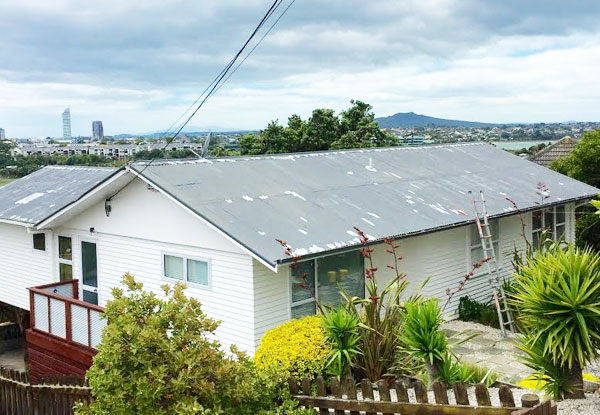 From $1,299 for a Full Iron Roof Paint incl. a Waterblast, Two Top Coats & a Moss/Mould Treatment (value up to $5,000)