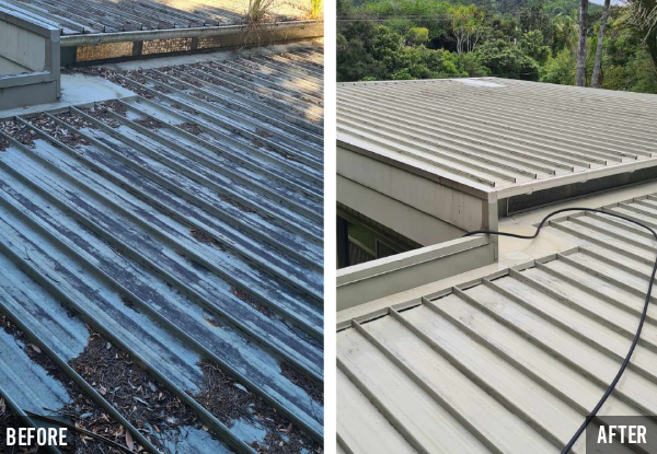 Winter Ready House Package with Roof Treatment & Gutter Clean - Option to Add House Wash